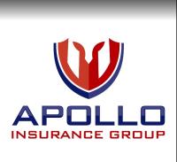Apollo Insurance Group Inc image 1